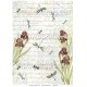 Carta di riso