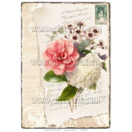 Carta di riso