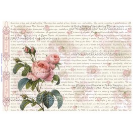 Carta di riso