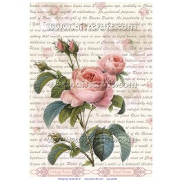 Carta di riso