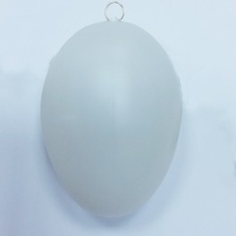 Uovo in plastica 