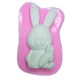 Stampo in silicone