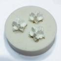 stampo in silicone
