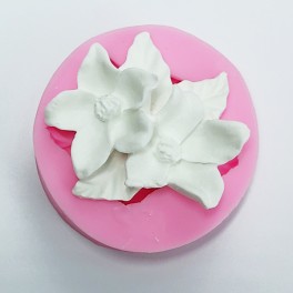 stampo in silicone
