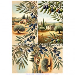 Carta di riso