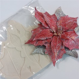 stampo in silicone