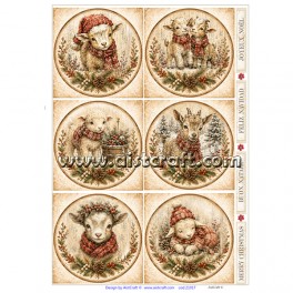 Carta di riso